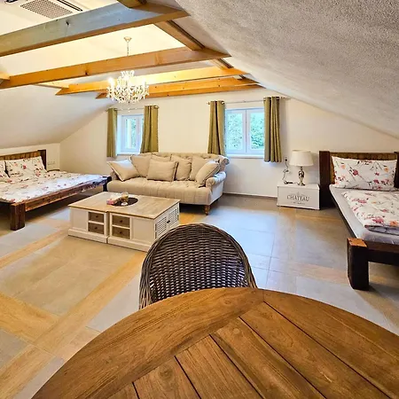 Apartament Skelna Hut Chudenin