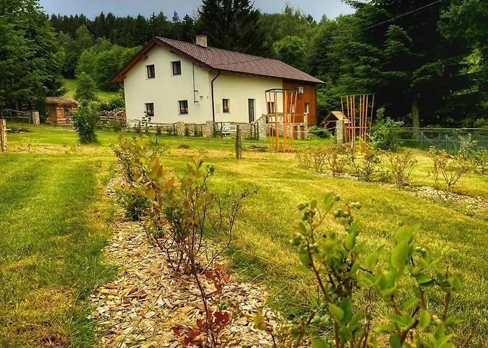 Апартаменты Skelna Hut